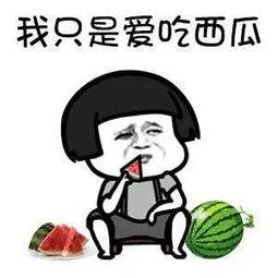 娛樂吃瓜公司有哪些,盤點(diǎn)熱門吃瓜公司背后的故事